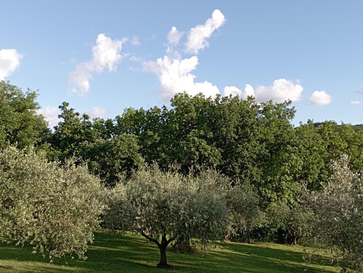 Villa Luna Comeana Kültér fotó