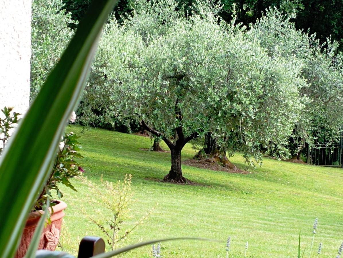 Villa Luna Comeana Kültér fotó
