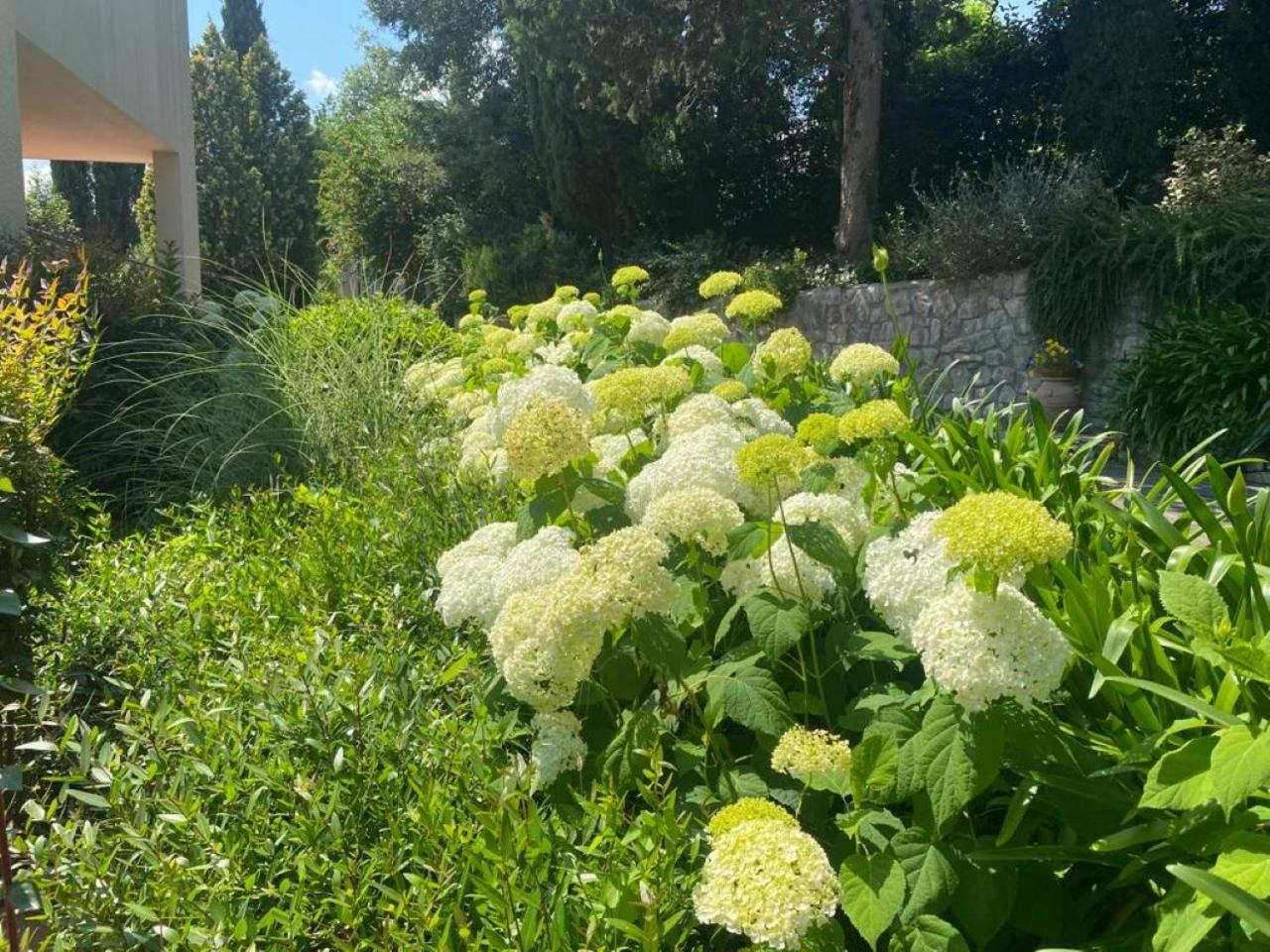 Villa Luna Comeana Kültér fotó