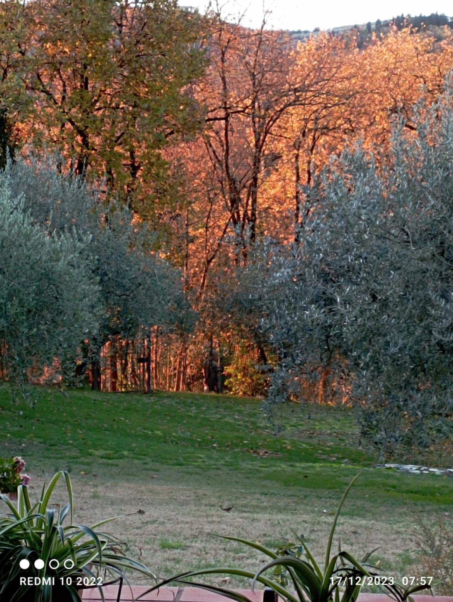 Villa Luna Comeana Kültér fotó