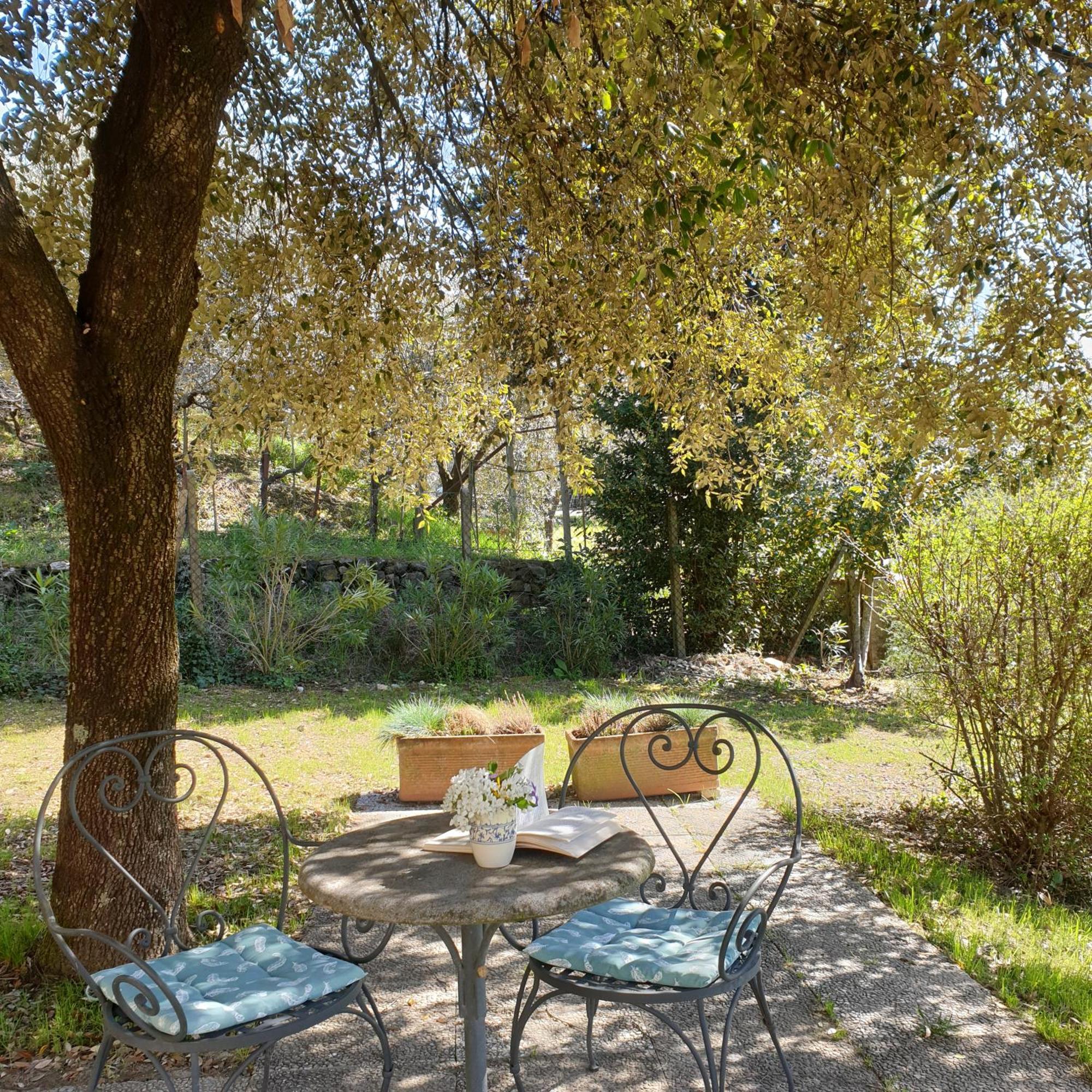 Villa Luna Comeana Kültér fotó