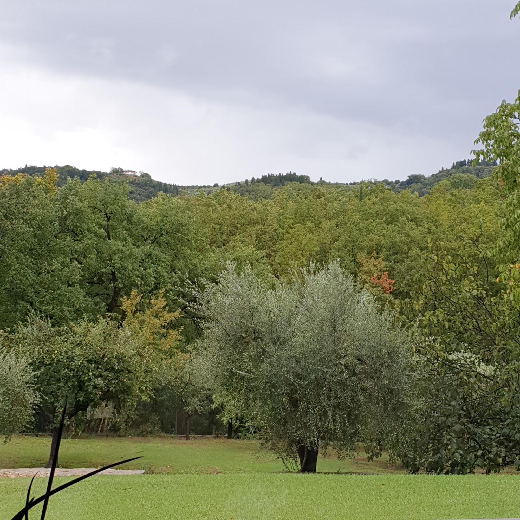 Villa Luna Comeana Kültér fotó